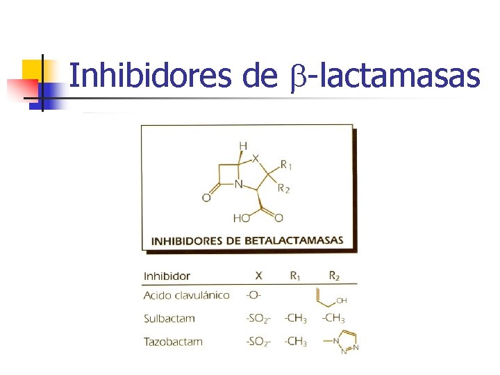Inhibidores de -lactamasas Inhibidores de -lactamasas