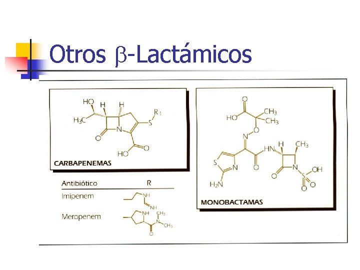 Otros -Lactámicos Otros -Lactámicos