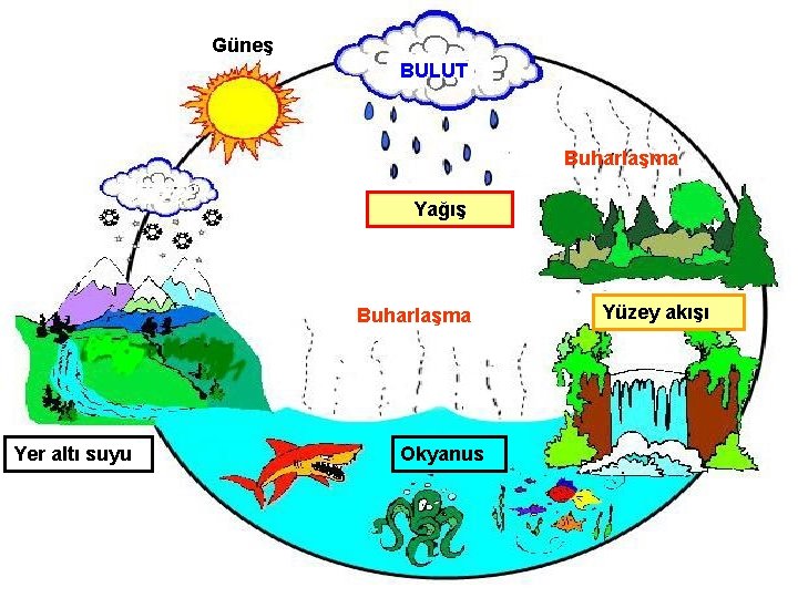 Güneş BULUT Buharlaşma Yağış Buharlaşma Yer altı suyu Okyanus Yüzey akışı 