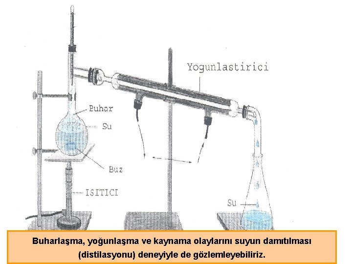 Buharlaşma, yoğunlaşma ve kaynama olaylarını suyun damıtılması (distilasyonu) deneyiyle de gözlemleyebiliriz. 