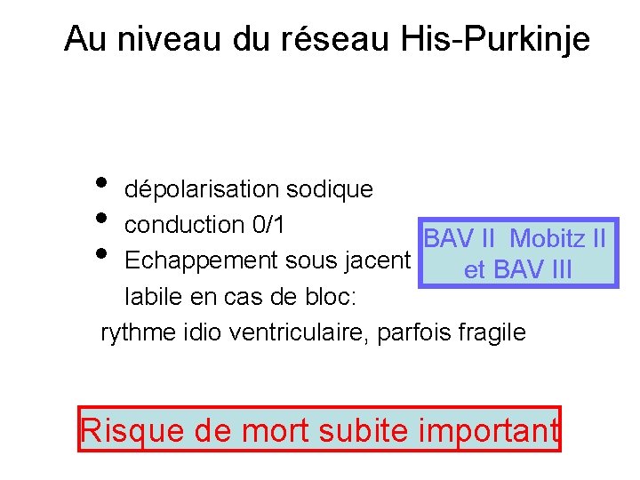 Au niveau du réseau His-Purkinje • • • dépolarisation sodique conduction 0/1 BAV II