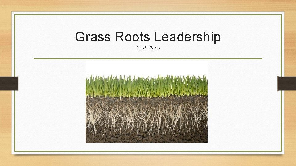 Grass Roots Leadership Next Steps 