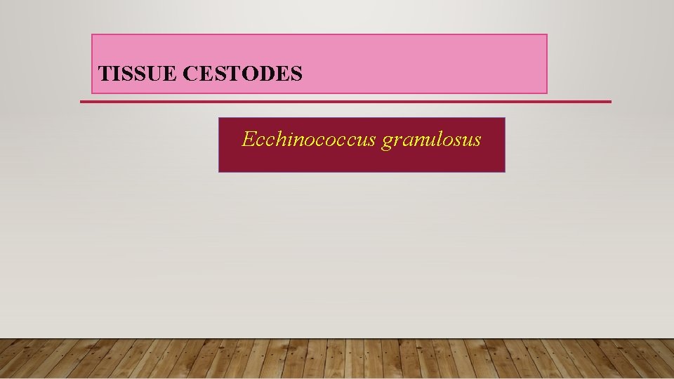 TISSUE CESTODES Ecchinococcus granulosus 
