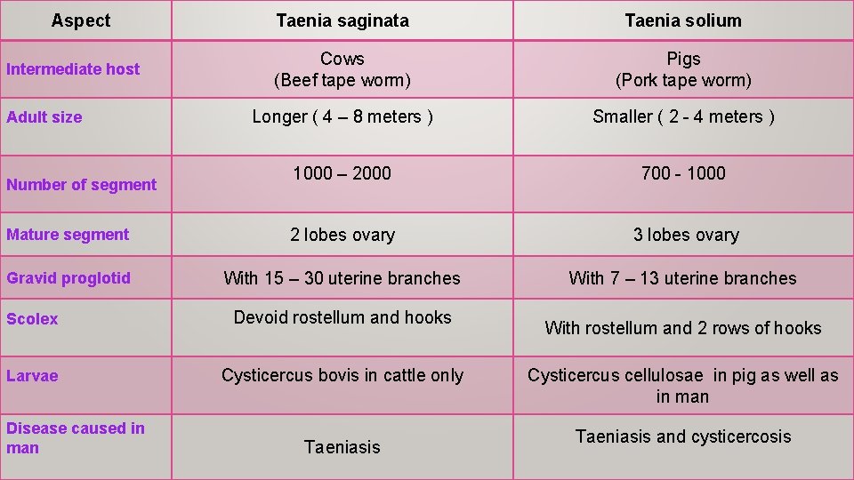 Aspect Taenia saginata Taenia solium Cows (Beef tape worm) Pigs (Pork tape worm) Longer