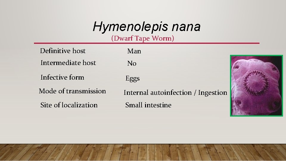 Hymenolepis nana (Dwarf Tape Worm) Definitive host Man Intermediate host No Infective form Eggs