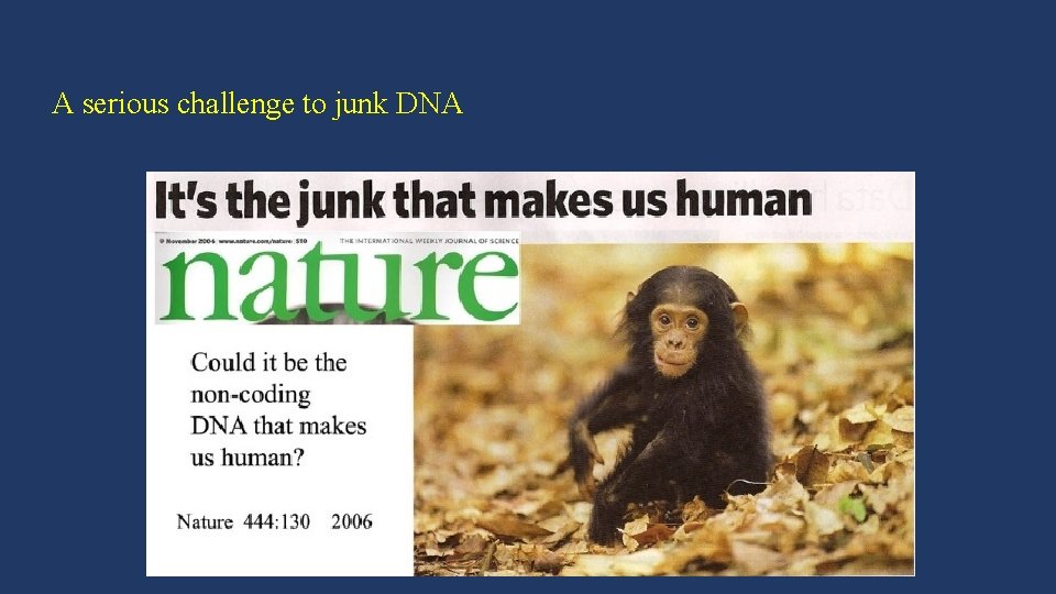 A serious challenge to junk DNA 