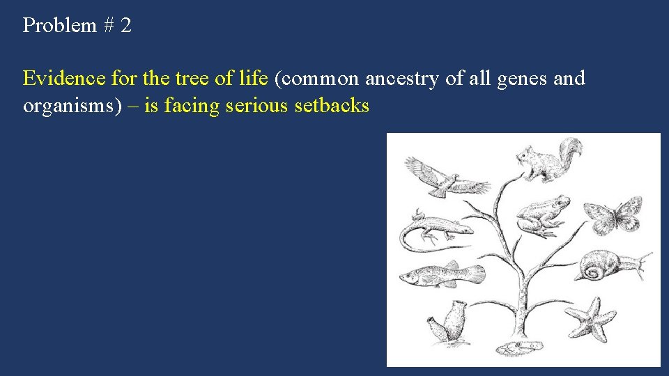 Problem # 2 Evidence for the tree of life (common ancestry of all genes