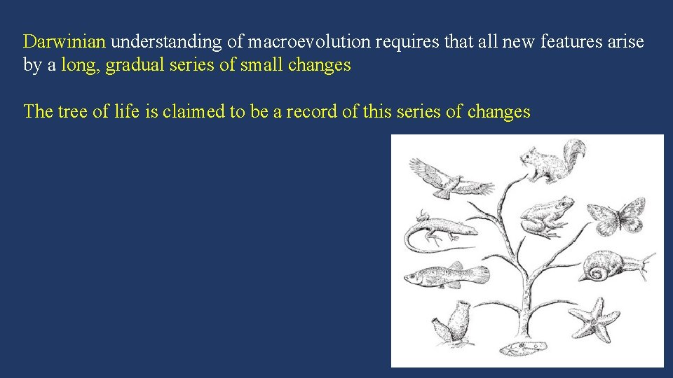 Darwinian understanding of macroevolution requires that all new features arise by a long, gradual