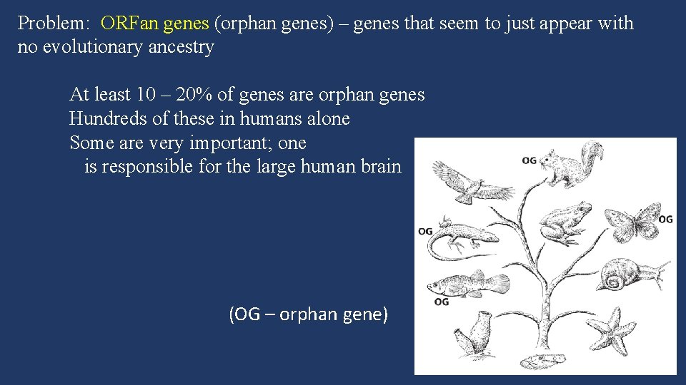 Problem: ORFan genes (orphan genes) – genes that seem to just appear with no