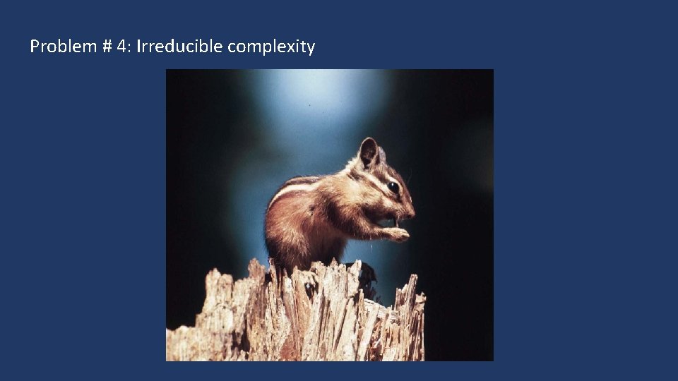 Problem # 4: Irreducible complexity 