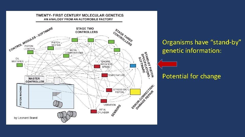 Organisms have “stand-by” genetic information: Potential for change 