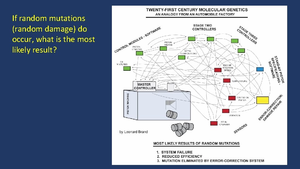 If random mutations (random damage) do occur, what is the most likely result? 