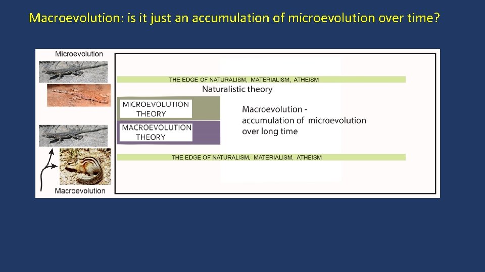 Macroevolution: is it just an accumulation of microevolution over time? 