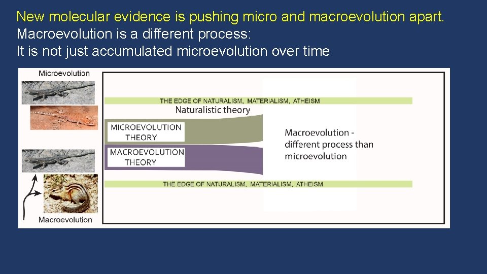 New molecular evidence is pushing micro and macroevolution apart. Macroevolution is a different process: