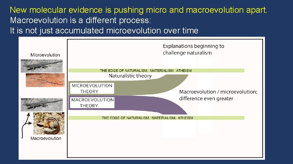 New molecular evidence is pushing micro and macroevolution apart. Macroevolution is a different process: