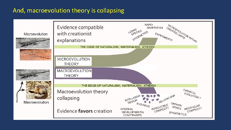 And, macroevolution theory is collapsing 