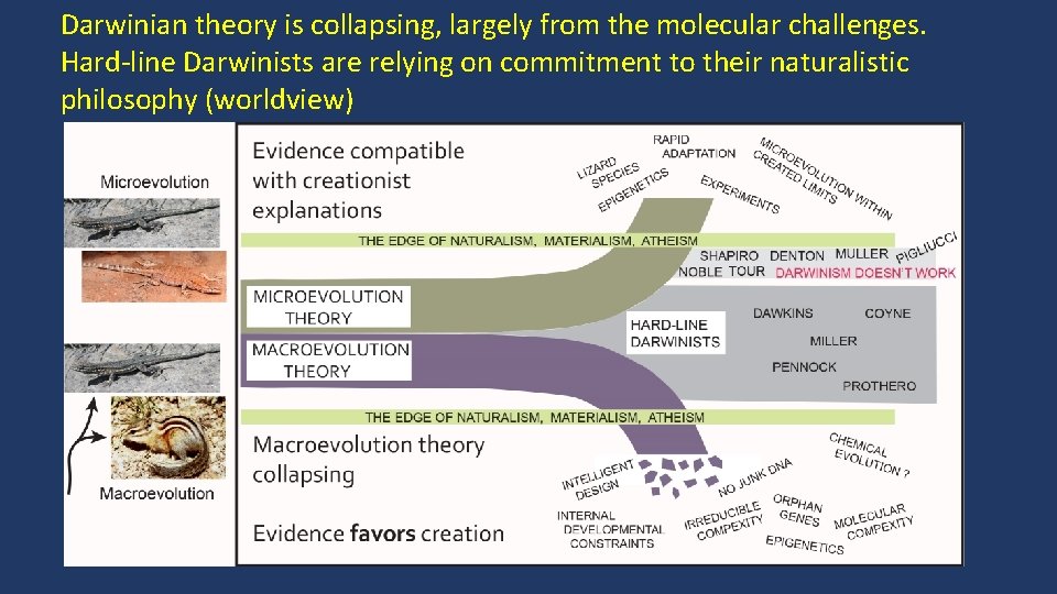 Darwinian theory is collapsing, largely from the molecular challenges. Hard-line Darwinists are relying on