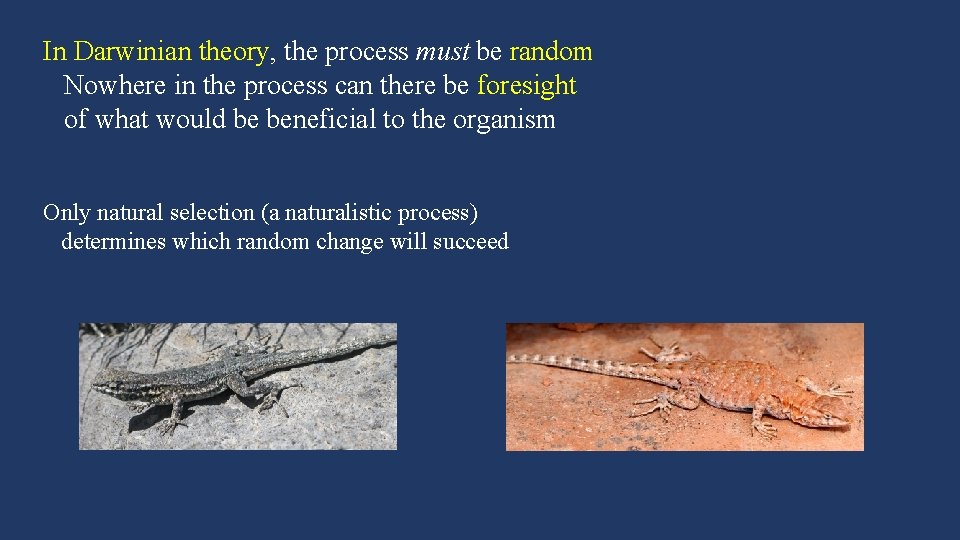 In Darwinian theory, the process must be random Nowhere in the process can there