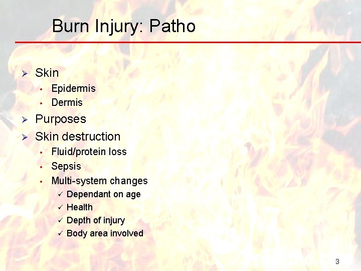 Burn Injury: Patho Ø Skin • • Ø Ø Epidermis Dermis Purposes Skin destruction