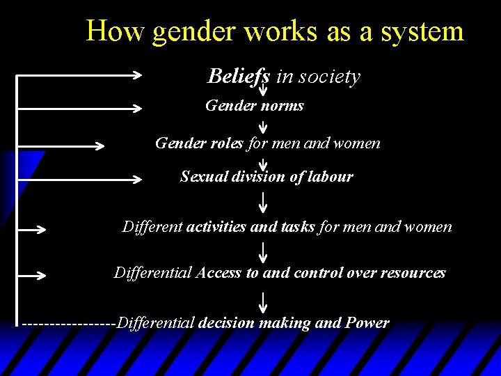 How gender works as a system Beliefs in society Gender norms Gender roles for