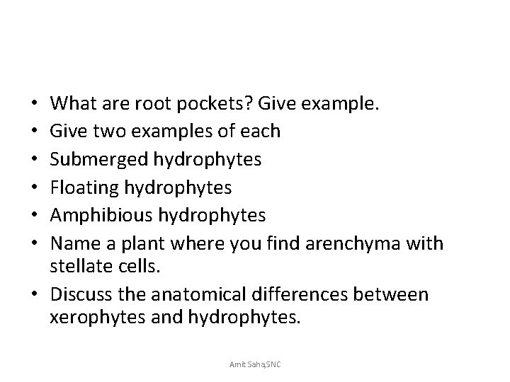 What are root pockets? Give example. Give two examples of each Submerged hydrophytes Floating