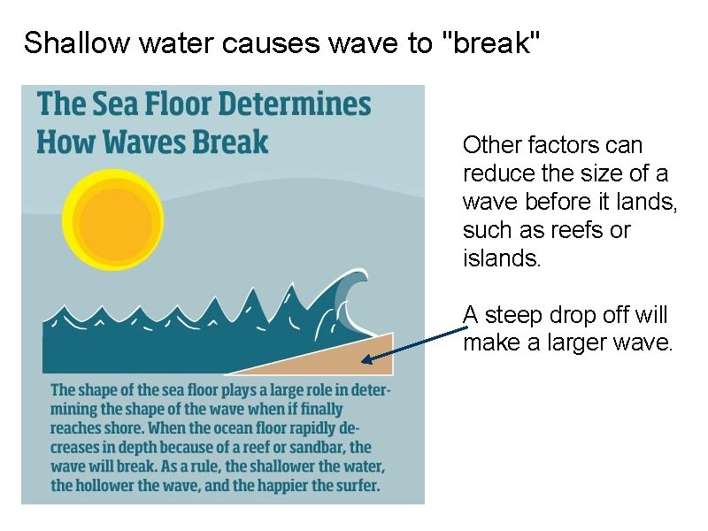 Shallow water causes wave to "break" Other factors can reduce the size of a