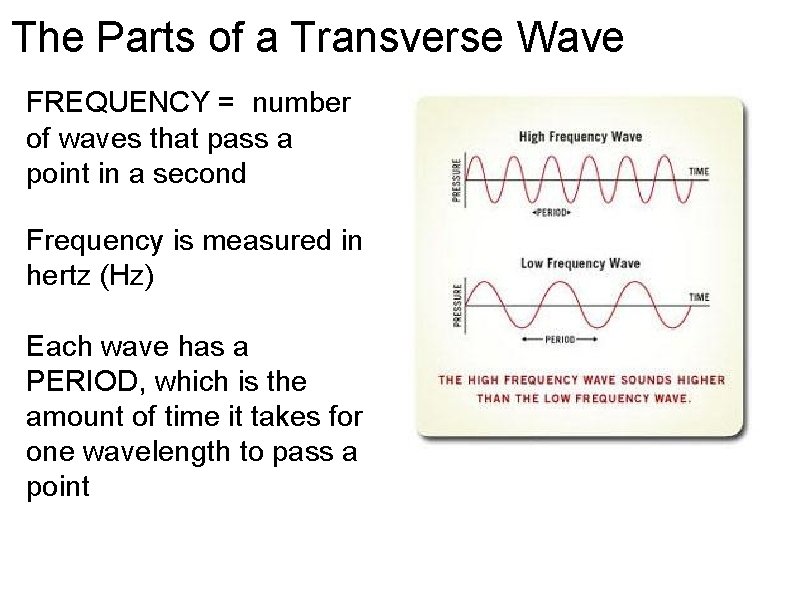 The Parts of a Transverse Wave FREQUENCY = number of waves that pass a