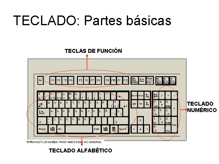 TECLADO: Partes básicas TECLAS DE FUNCIÓN TECLADO NUMÉRICO TECLADO ALFABÉTICO 