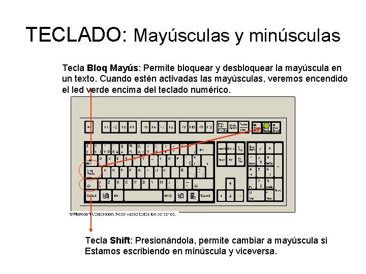 TECLADO: Mayúsculas y minúsculas Tecla Bloq Mayús: Permite bloquear y desbloquear la mayúscula en