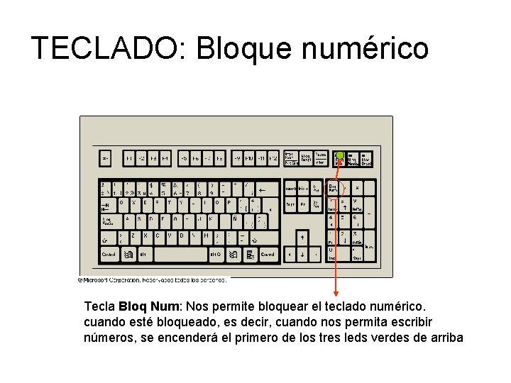 TECLADO: Bloque numérico Tecla Bloq Num: Nos permite bloquear el teclado numérico. cuando esté