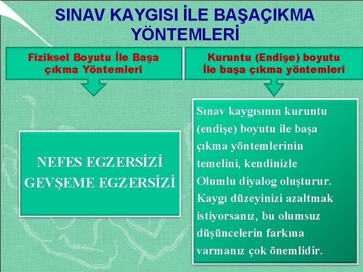 SINAV KAYGISI İLE BAŞAÇIKMA YÖNTEMLERİ Fiziksel Boyutu İle Başa çıkma Yöntemleri NEFES EGZERSİZİ GEVŞEME