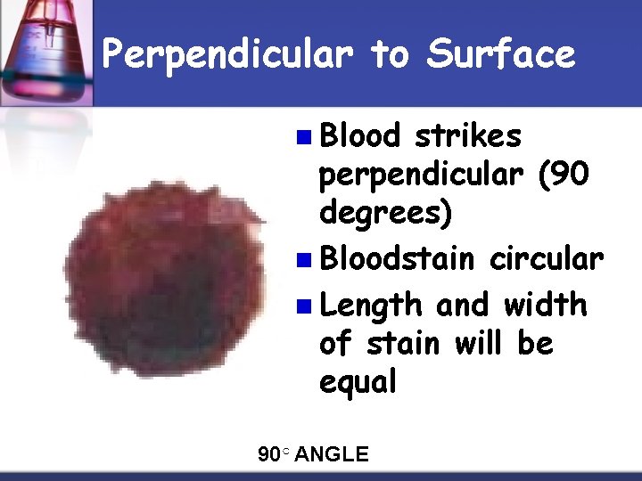 Perpendicular to Surface n Blood strikes perpendicular (90 degrees) n Bloodstain circular n Length