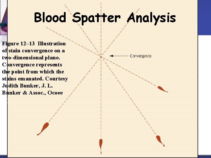 Blood Spatter Analysis Figure 12– 13 Illustration of stain convergence on a two-dimensional plane.