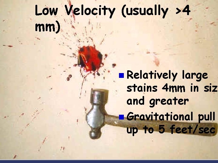 Low Velocity (usually >4 mm) n Relatively large stains 4 mm in size and