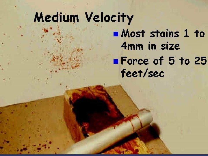 Medium Velocity n Most stains 1 to 4 mm in size n Force of