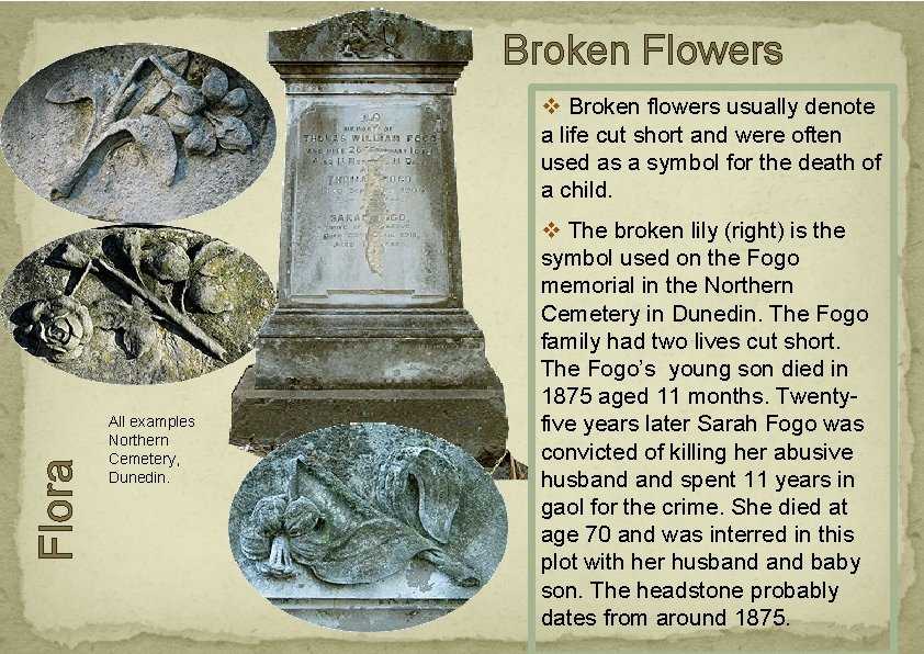 Broken Flowers Flora v Broken flowers usually denote a life cut short and were