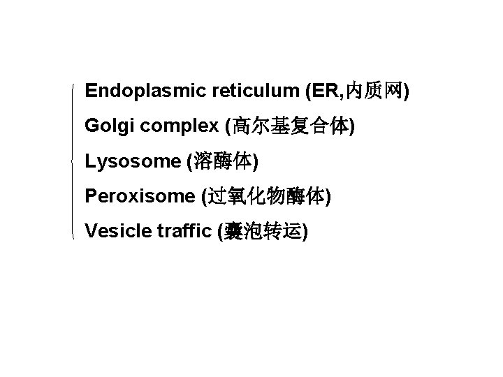 Endoplasmic reticulum (ER, 内质网) Golgi complex (高尔基复合体) Lysosome (溶酶体) Peroxisome (过氧化物酶体) Vesicle traffic (囊泡转运)