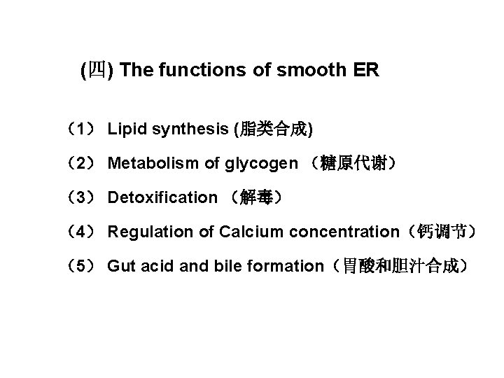 (四) The functions of smooth ER （1） Lipid synthesis (脂类合成) （2） Metabolism of glycogen