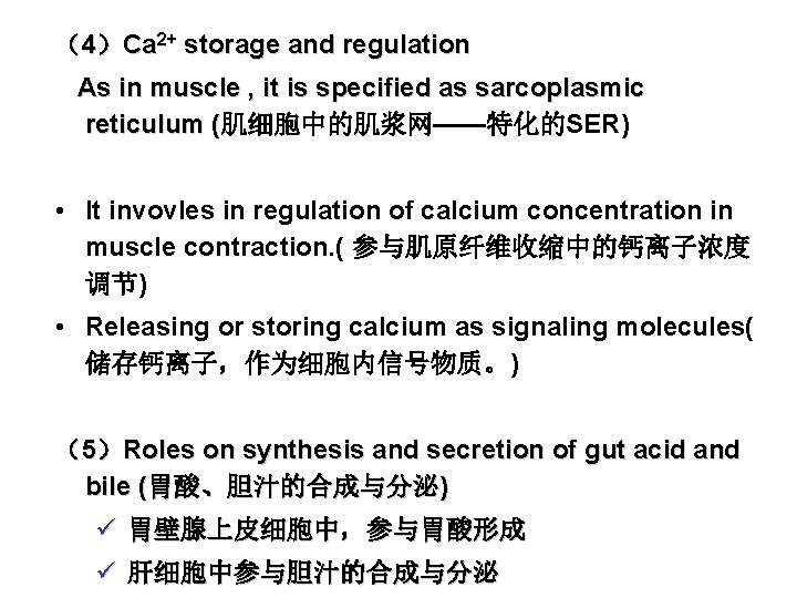 （4）Ca 2+ storage and regulation As in muscle , it is specified as sarcoplasmic