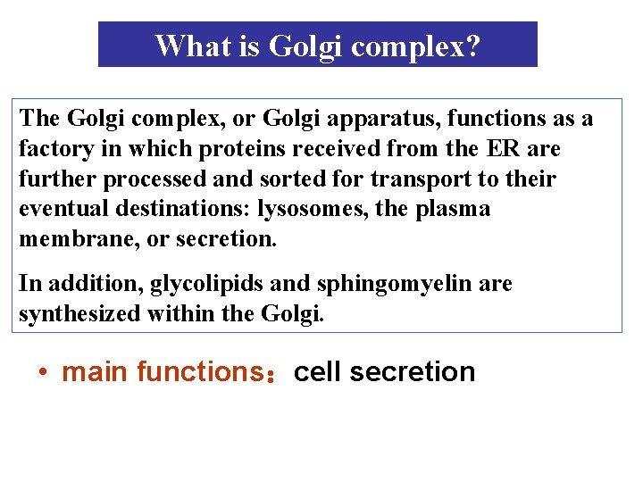 What is Golgi complex? The Golgi complex, or Golgi apparatus, functions as a factory