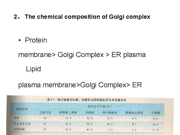 2、 The chemical composition of Golgi complex • Protein membrane> Golgi Complex > ER