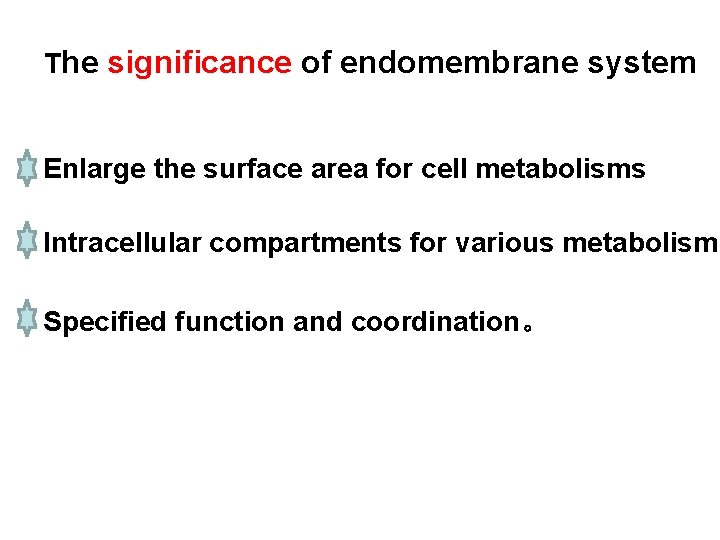 The significance of endomembrane system Enlarge the surface area for cell metabolisms Intracellular compartments