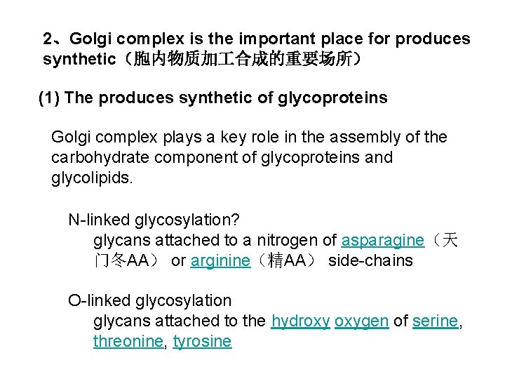 2、Golgi complex is the important place for produces synthetic（胞内物质加 合成的重要场所） (1) The produces synthetic