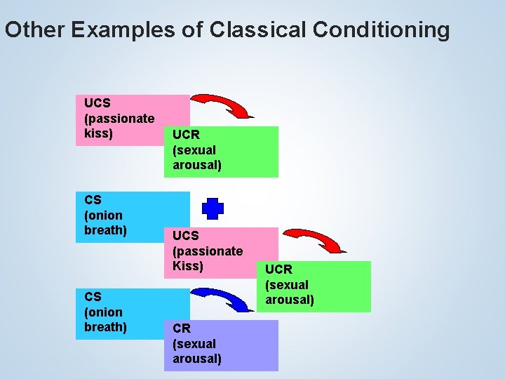 Other Examples of Classical Conditioning UCS (passionate kiss) CS (onion breath) UCR (sexual arousal)