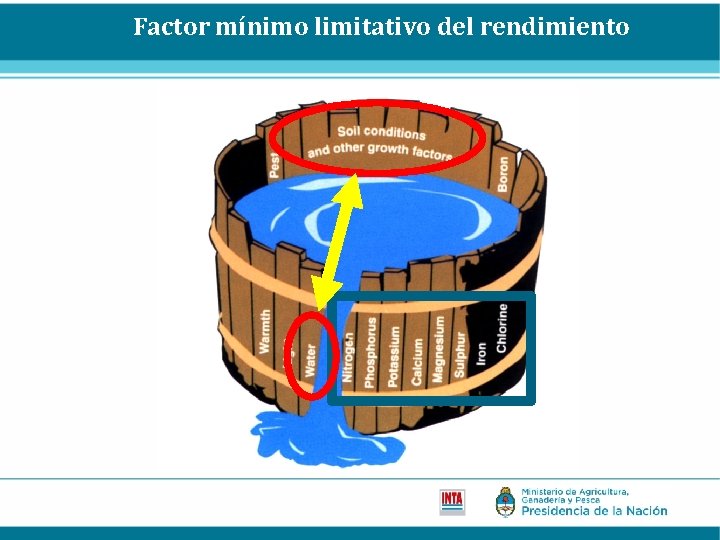 Factor mínimo limitativo del rendimiento 