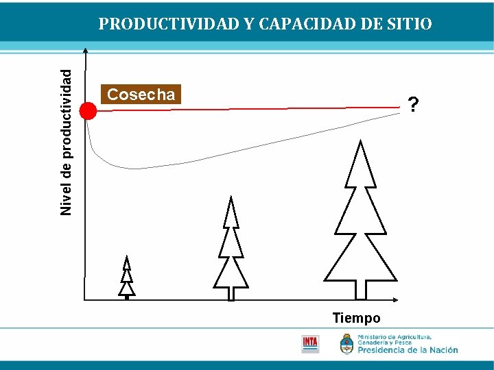 Nivel de productividad PRODUCTIVIDAD Y CAPACIDAD DE SITIO Cosecha ? Tiempo 