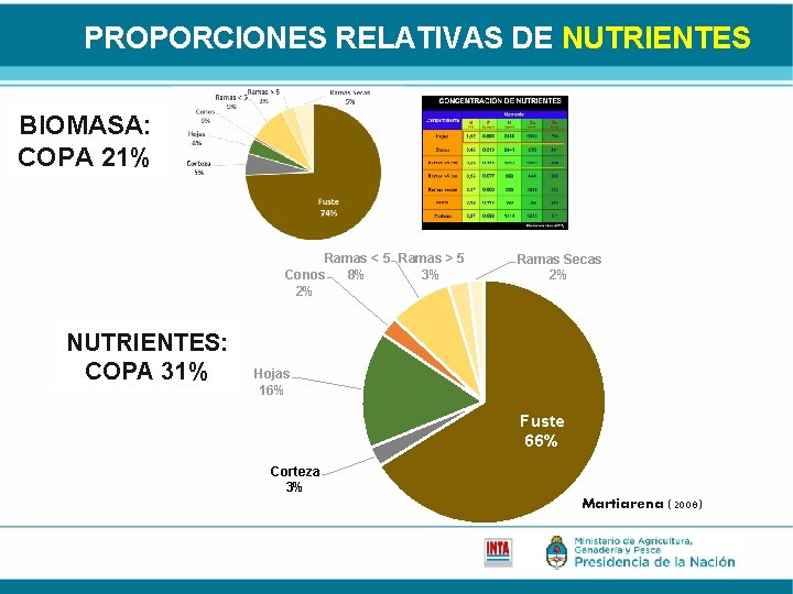 PROPORCIONES RELATIVAS DE NUTRIENTES BIOMASA: COPA 21% Ramas < 5 Ramas > 5 8%