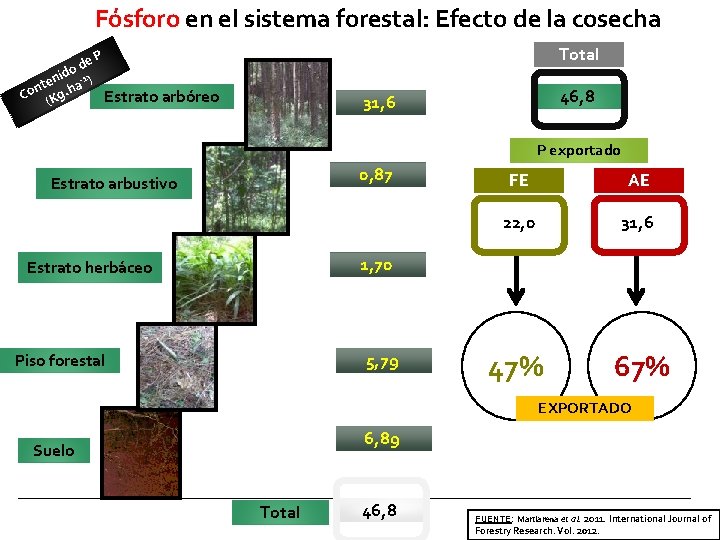 Fósforo en el sistema forestal: Efecto de la cosecha Total P de o nid