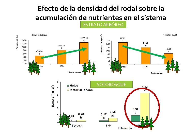 Efecto de la densidad del rodal sobre la acumulación de nutrientes en el sistema