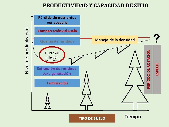 PRODUCTIVIDAD Y CAPACIDAD DE SITIO Compactación del suelo ? Manejo de la densidad Punto